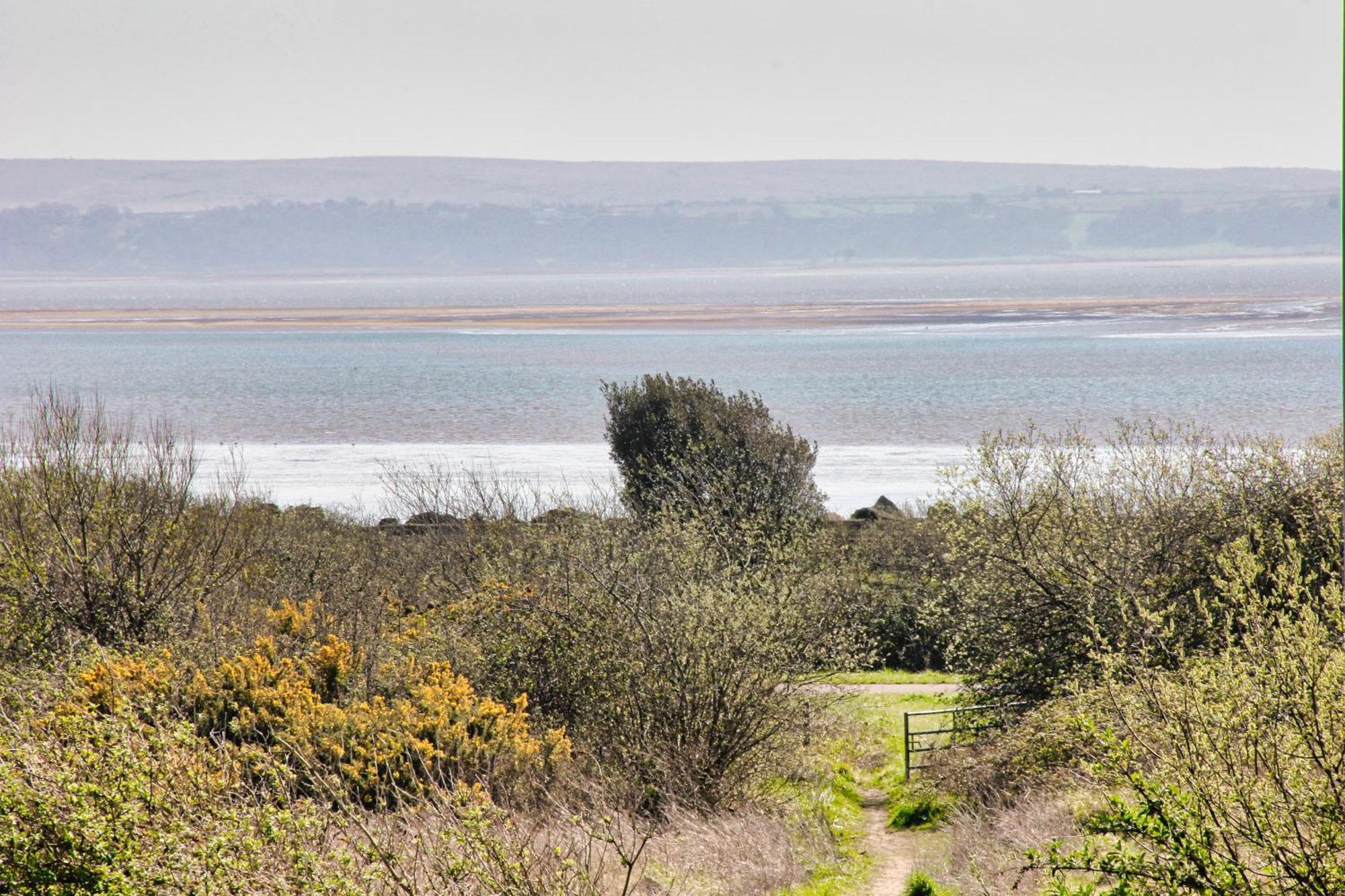 Blue Rose Cottage Burry Port Rum bild